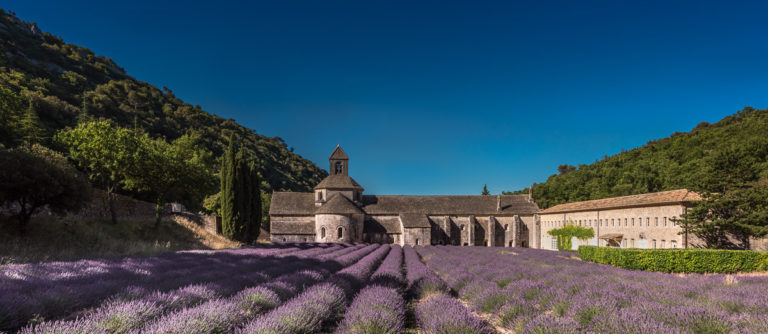 Provence lavendel