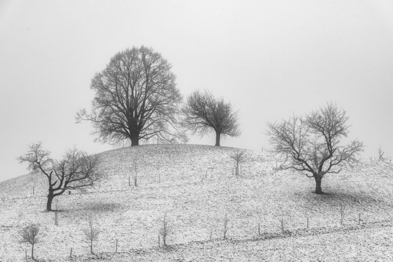 Hirzel,Drumlins im winter