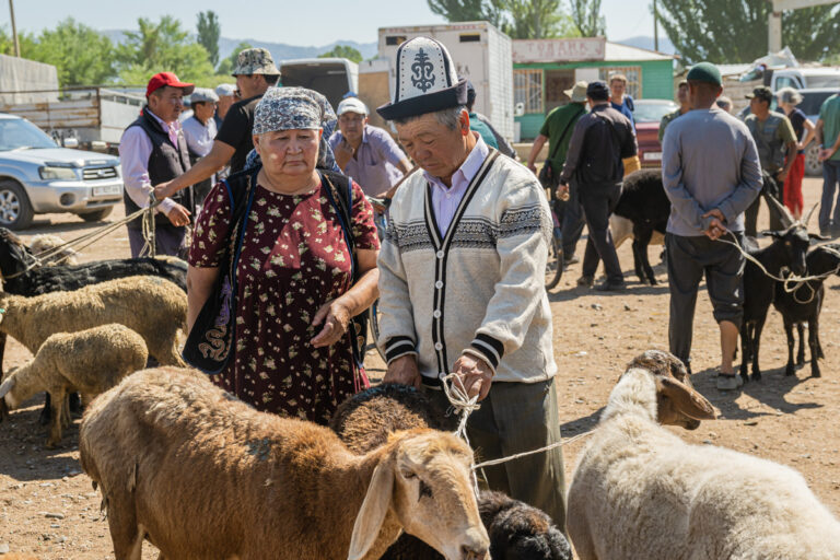 Animal Market, Koshkor, Kirgistan