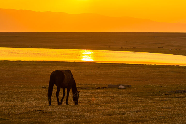 Sunset Son Kul Lake, Kirgistan