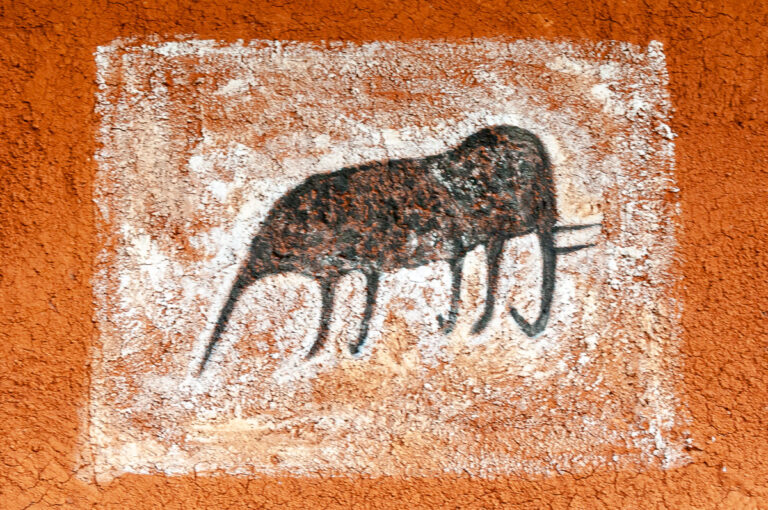 veddahs symbol animal