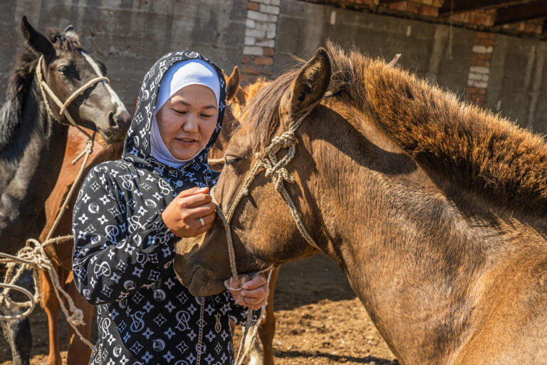 lieblingspferd, Animal Market, Koshkor, Kirgistan