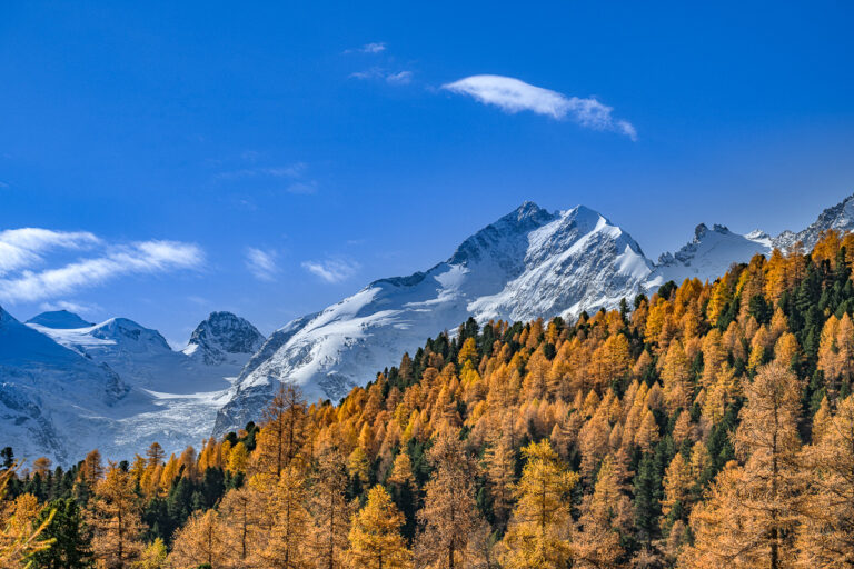 Engadin, goldener Herbst, Bernina